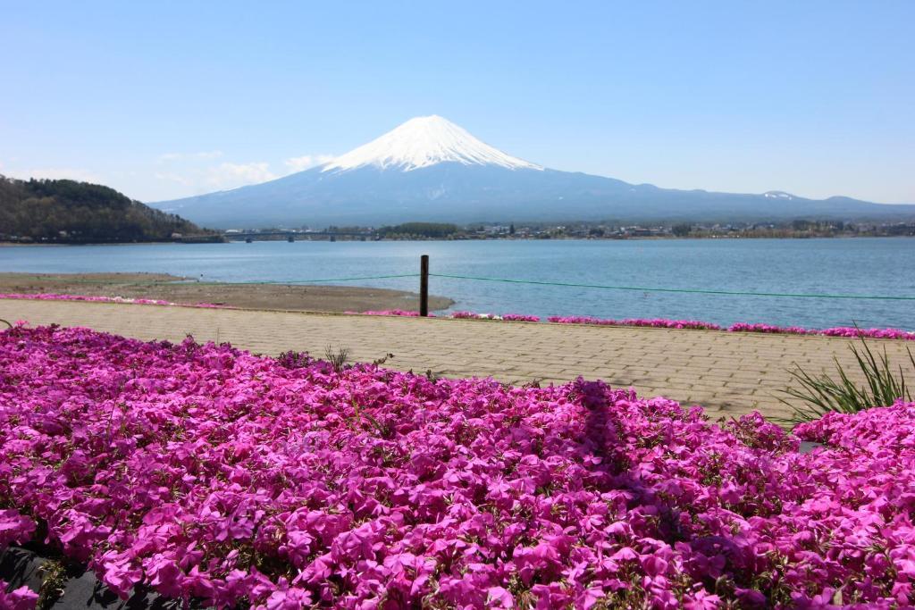 Ururun Kawaguchiko Villa Fujikawaguchiko Luaran gambar