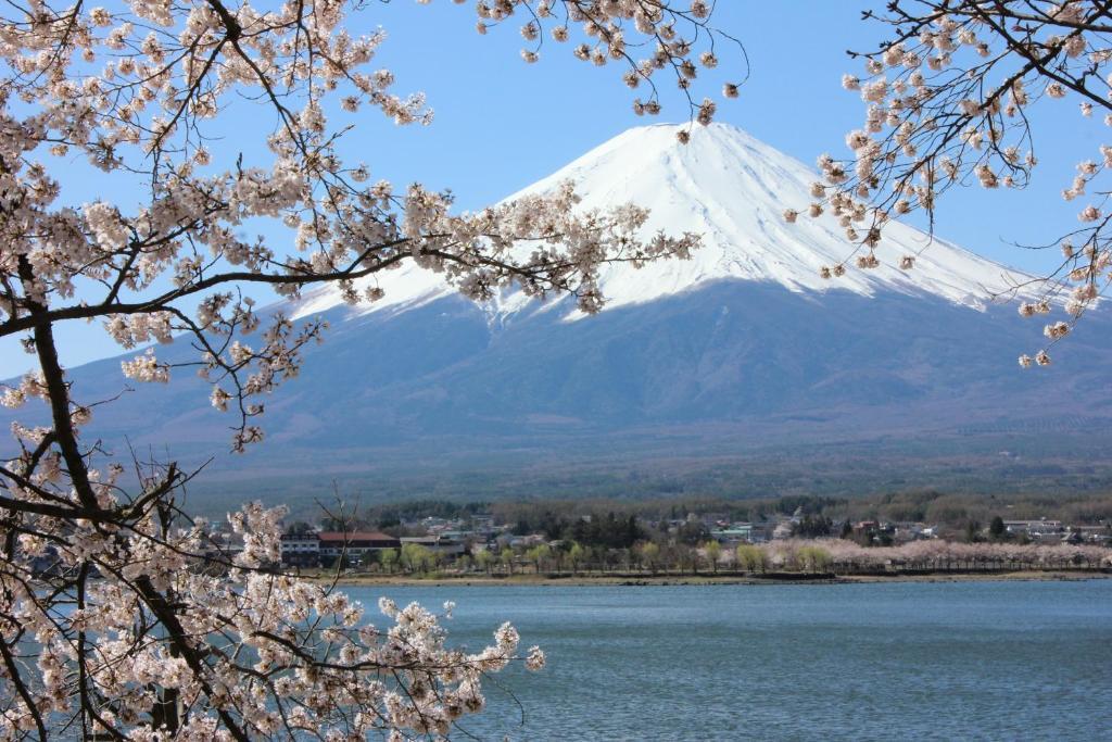 Ururun Kawaguchiko Villa Fujikawaguchiko Luaran gambar